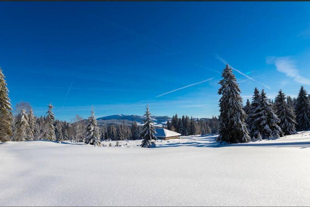 Chaleureux Studio Montagnard Avec Balcon 2303 เพรมานง ภายนอก รูปภาพ